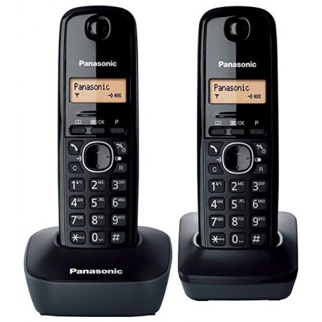 TELEFONO FIJO 1612  DUO
