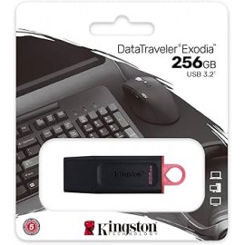 USB KINGSTON 256GB   un