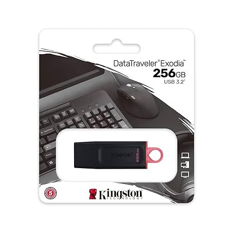 USB KINGSTON 256GB