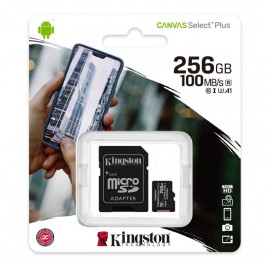 Memoria KINGSTON 256GB      un